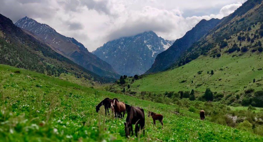 Chon-Kemin Valley, Chüy Region, Kyrgyzstan